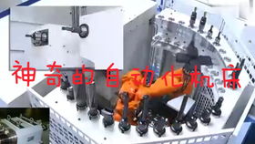 工業(yè)機器人自娛自樂