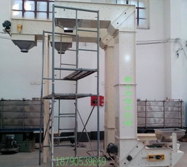 hytd2.0l斗式提升機(jī),食品廠配套機(jī)械設(shè)備斗式提升機(jī)圖片,hytd2.0l斗式提升機(jī),食品廠配套機(jī)械設(shè)備斗式提升機(jī)高清圖片 新鄉(xiāng)市恒宇機(jī)械設(shè)備有限責(zé)任公司,